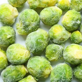  Jumbo Brussel Sprout KG - USA 