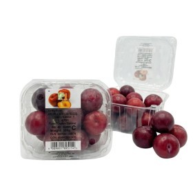  South Africa - Plum  500g Pkt 