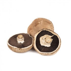  Holland - Portobello Mushroom Kg 