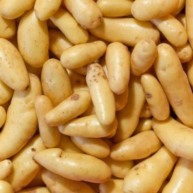  بطاطا اصابع بالكيلو - امريكي 