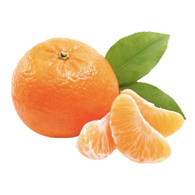  China -Wogan Mandarin Kg 