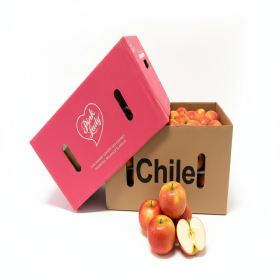  Chile - Apple Pink Lady 18 Kg Box 
