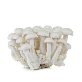  White Shimeji Mushroom 150g - China 