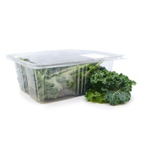  Local - Baby Kale Lettuce 100 g PKT 