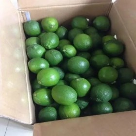  Vietnam Lime box 4kg 