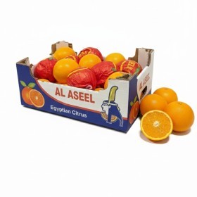  Egyptian - Citrus 7.5 Kg  Box 