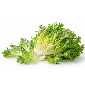  Belgium - Oakleaf Lettuce  Kg 