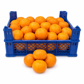  Egypt- Mandarin 8 Kg Box 