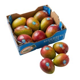  South Africa - Tommy Mango 4 Kg Box 