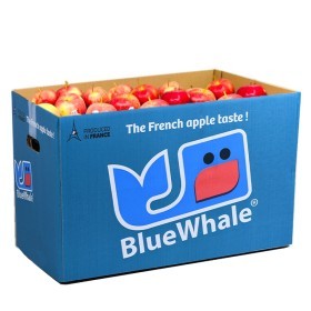  Apples Royal Gala 18kg Box - France 