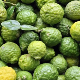  Thailand Kaffir Lime 250gm 