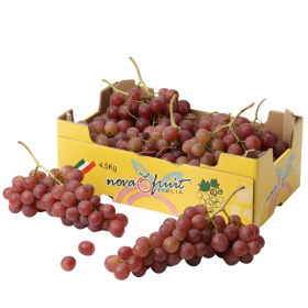  Italy - Red Grapes 4.5Kg Box 