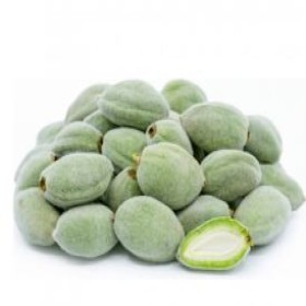  Turkish- Green Almond Kg 