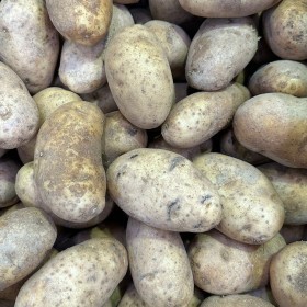  بطاطا ايداهو بالكيلو - امريكي 