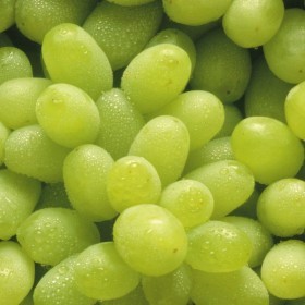  White Grapes Kg - USA 