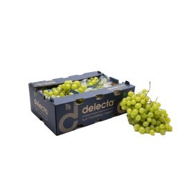  عنب أبيض  4.5 كيلو صندوق -جنوب أفريقيا 