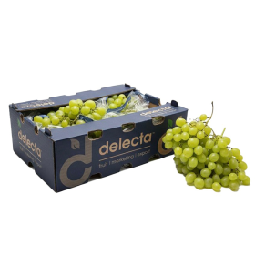  South Africa - Grapes White 4.5 KG BOX 