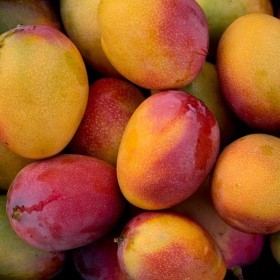  Rosa Mango Kg - Brazil 