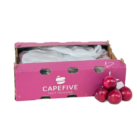  South Africa -Red  Plums 5 Kg Box 