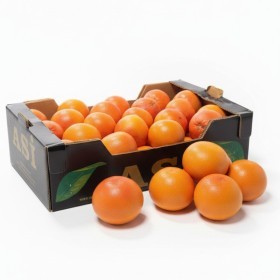  Turkey - Grapefruit 14 Kg Box 