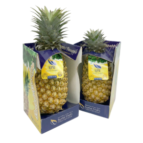  SUMA | King pineapple pc- Sri Lanka 