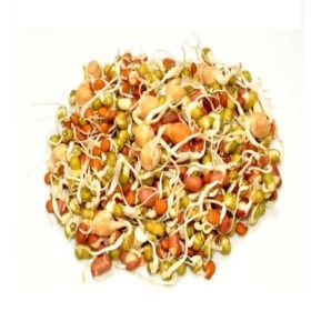  Sprouted Beans mix 250g PKT 