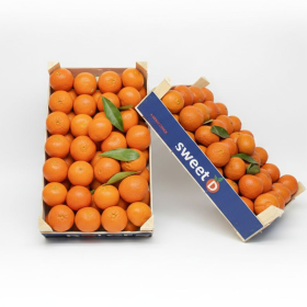  Turkey - Mandarin 7 kg  Box 