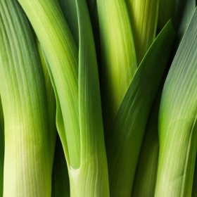  Holland Leeks Kg 