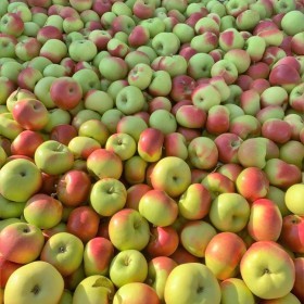  Melissa's | Apple Lady Kg - USA 