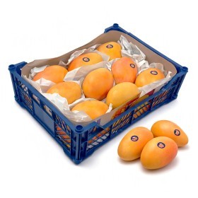 Egypt - Mango Mabrouka  3.5 Kg Box 