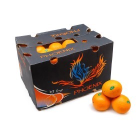  South Africa - Navel Orange 15 kg 