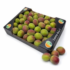  Lebanon - Apricot 900 g PKT 