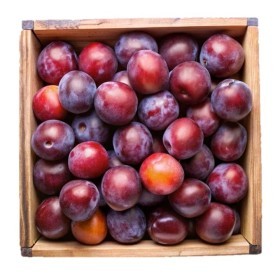  Plum 5kg Box - Spain 
