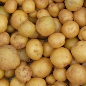  Local Potato Kg 