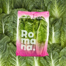  Lettuce Romaine 