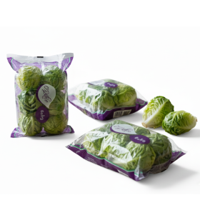  Spain - Gem Lettuce 6Pc PKT 
