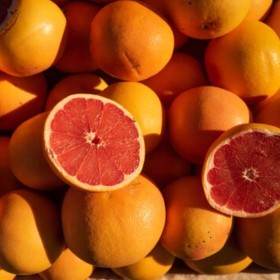  South African Grapefruit Kg 