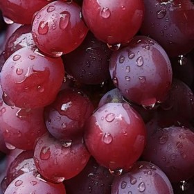  عنب أحمر أمريكي كيلو 