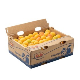  South Africa - Apricot 4.750 Kg Box 
