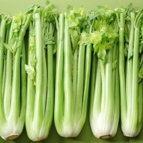  Celery Kg - usa 