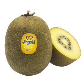  JINGOLD Golden Kiwi Kg - Italian 