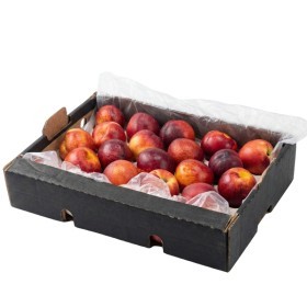  South Africa - Nectarine 2.5 Kg Box 