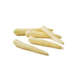  Holland - White Carrots kg 
