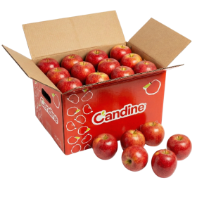  France - Candine Apple 18 Kg Box 