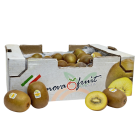  Italian - Kiwi Gold 6Kg Box 