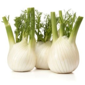  Italy -  Fennel Kg 