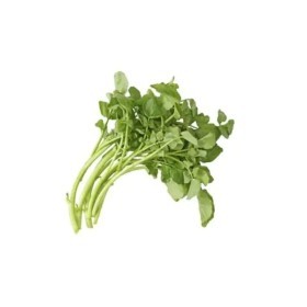  Holland - Affilla Cress Box 