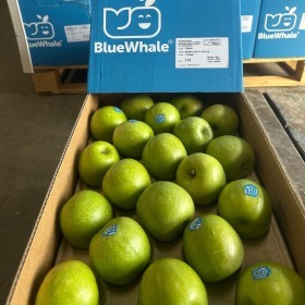  كرتون تفاح جراني أخضر 18 كيلو - فرنسي 