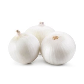  White Onion Kg - Spain 