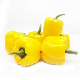  Yellow Capsicum KG - Spain 